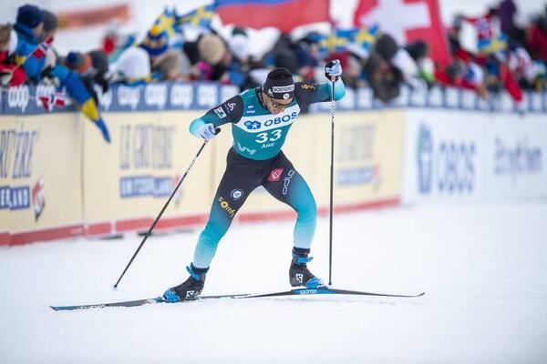 NordicFocus