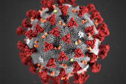 Ilustrasjonsbilde Coronavirus Coronavirus