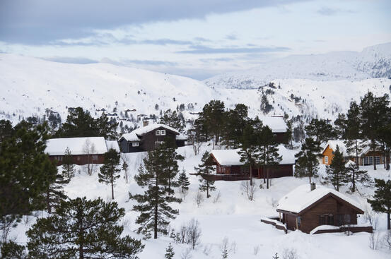 Cabin village in winter