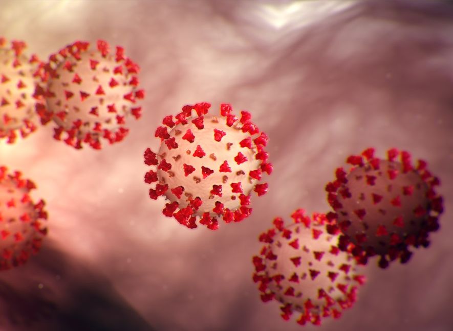 Korona virus