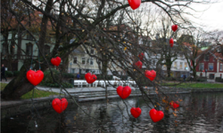 Etter avlysning av arrangementer, har mange frivilligsentraler satt fokus på å tilby hjelp til kommuner og andre frivillige organisasjoner med å koordinere frivillige, og å utvikle gode og nye initiativer. Foto: Christian Hellevang, KS