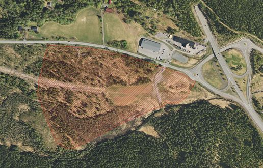 Del av nyeHadelandsparken