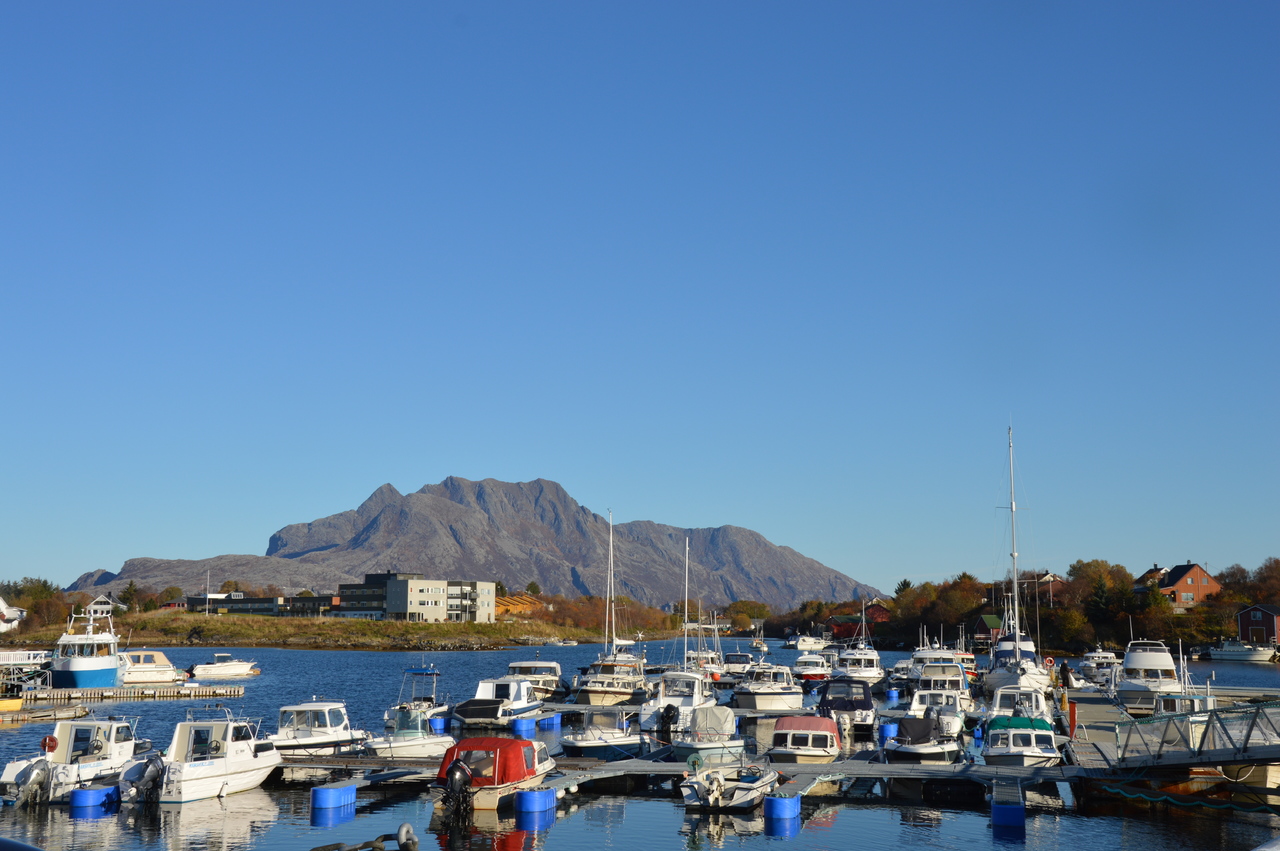 Herøy marina