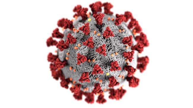 corona_virus