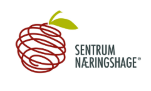 Sentrum Næringshage logo