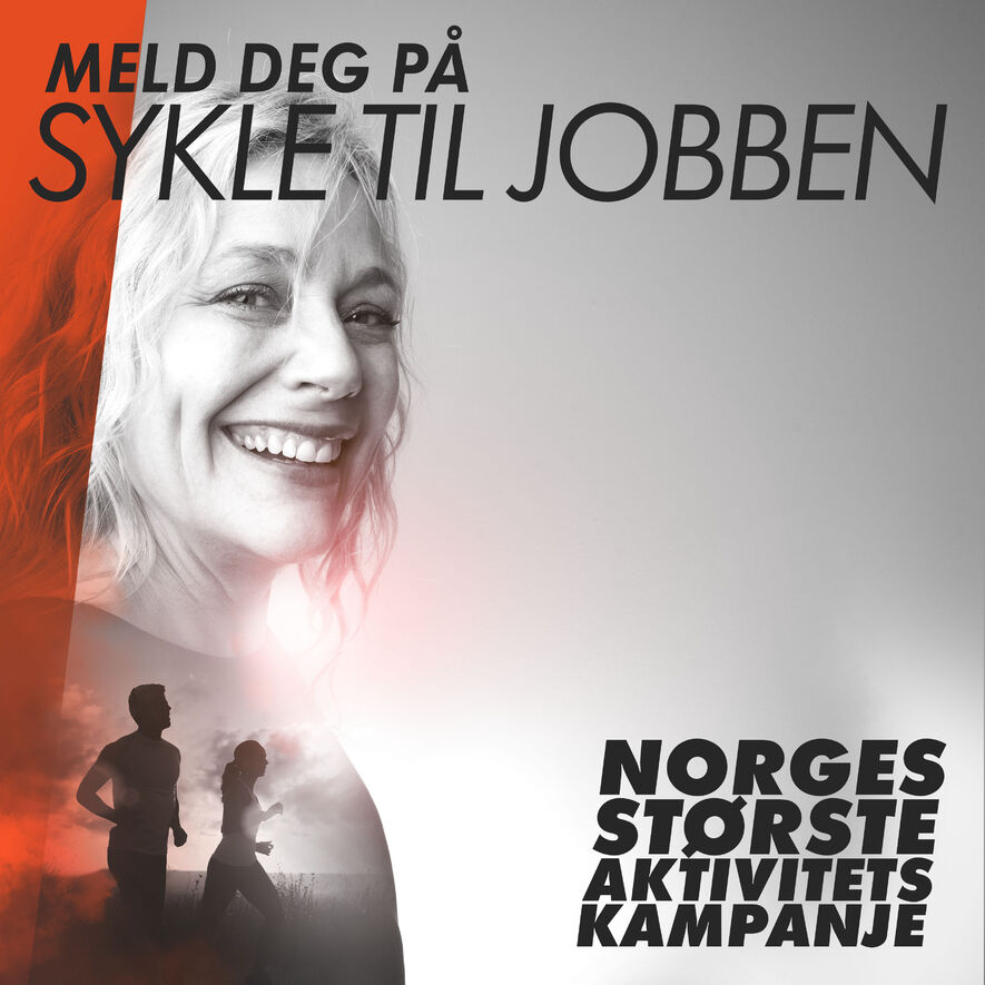 Ingress sykle til jopbben