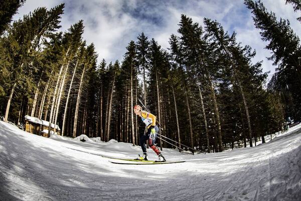 NordicFocus