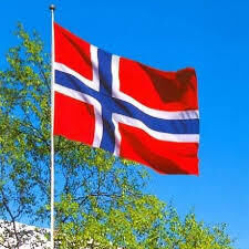 Bilde av det norske flagget med blå himmel og bjørkeløv