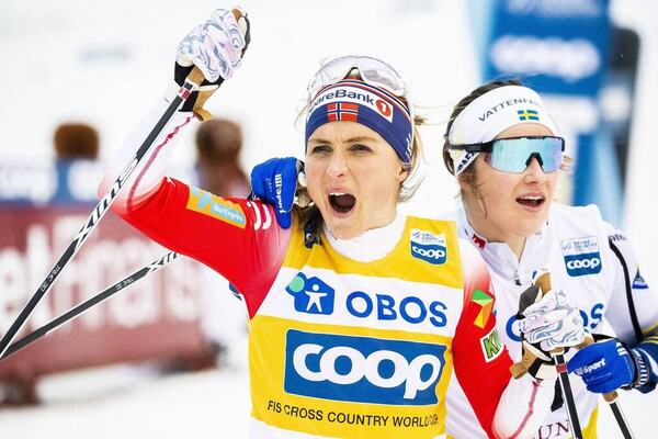 NordicFocus