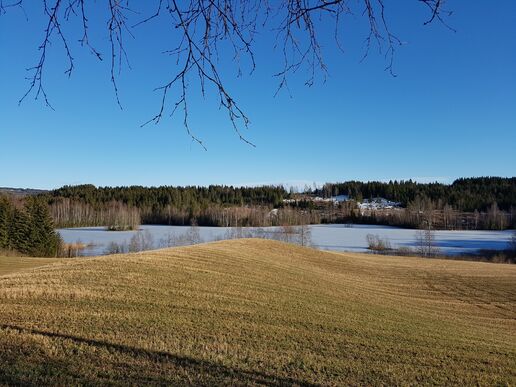 naturbilde jorde og vann vår