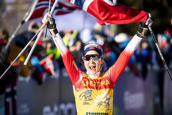 NordicFocus