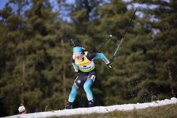 NordicFocus