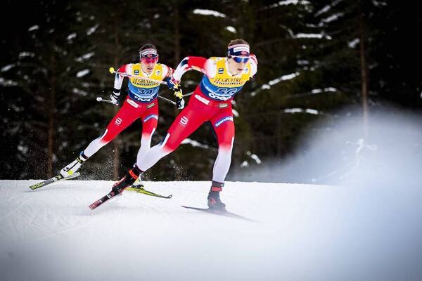 NordicFocus