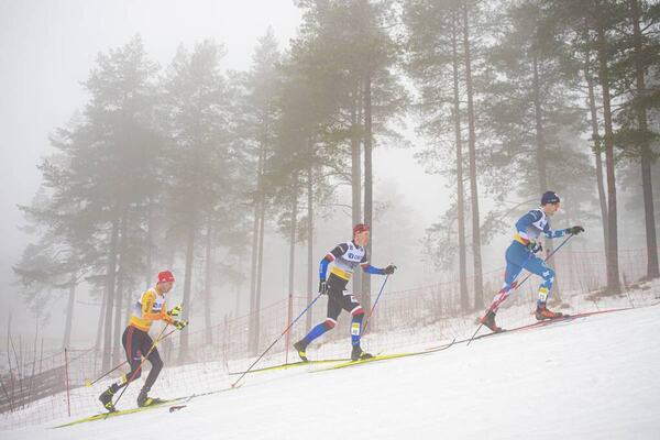 NordicFocus
