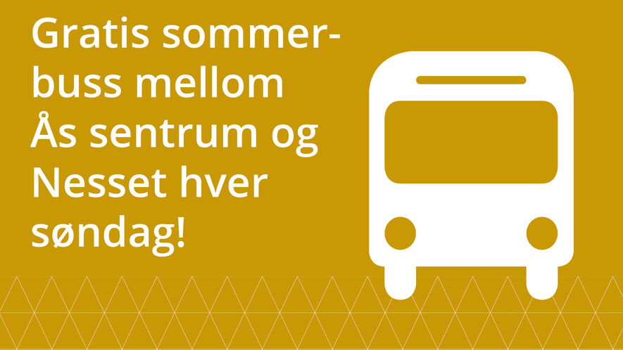 Buss til Breivoll 2020_3