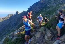 Thevenard Photo - Corse Matin