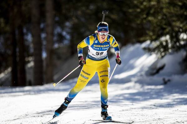 NordicFocus