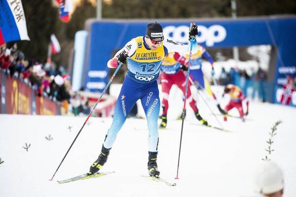NordicFocus