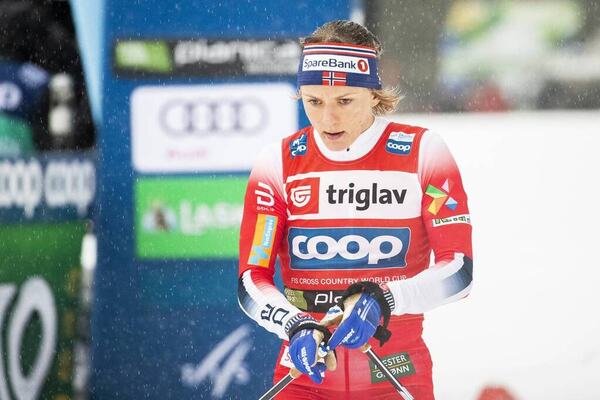 NordicFocus