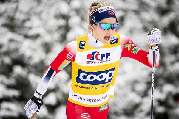 NordicFocus
