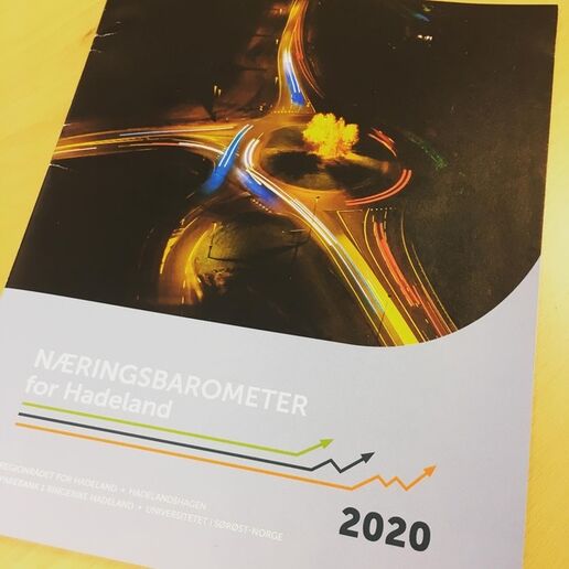 Rapport for 2020 næringsbarometer