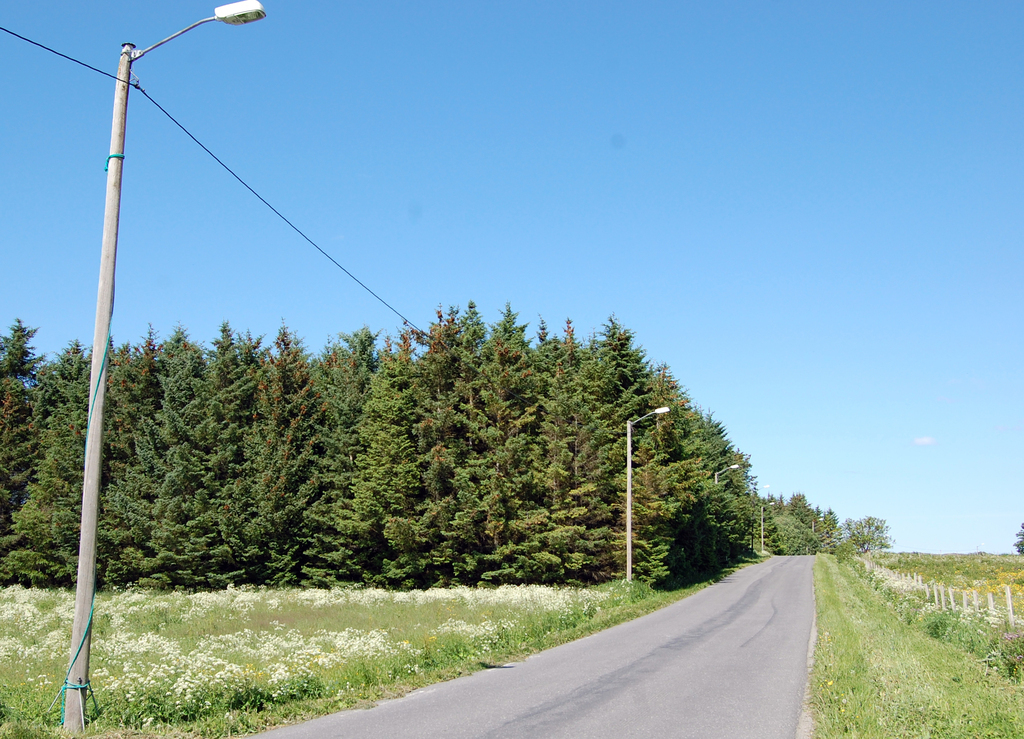 Arkivfoto fra 2011. Arkivfoto fra 2011.