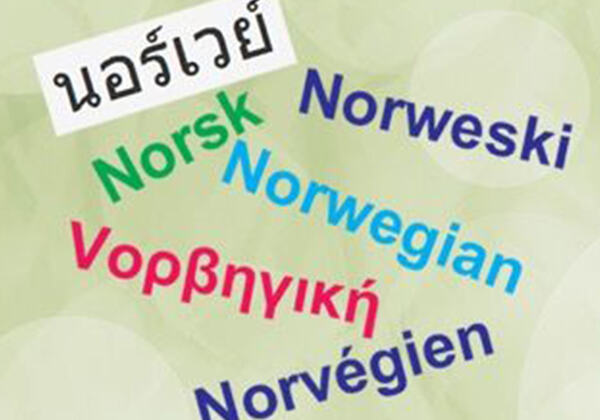 Norskkurs_flere språk