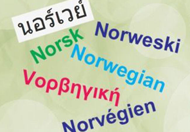 Norskkurs_flere språk
