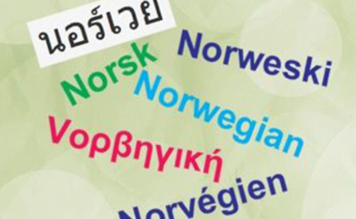 Norskkurs_flere språk