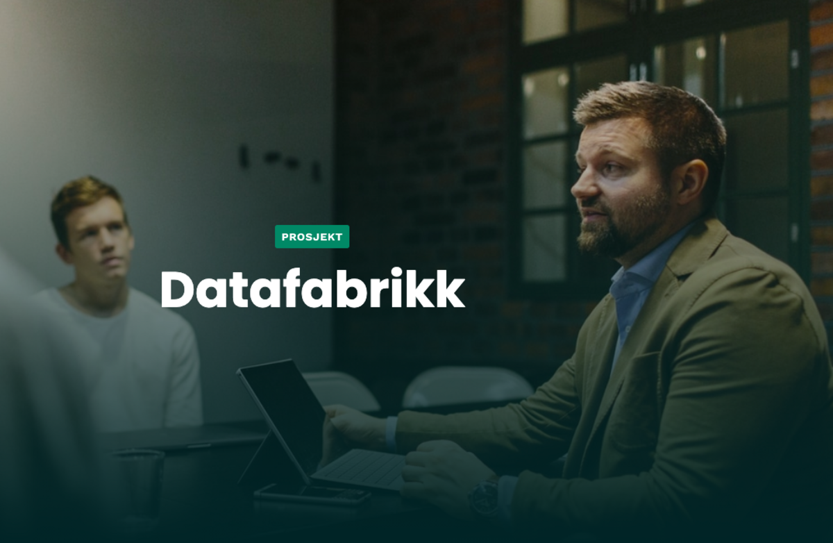 DigitalNorway jobber med å etablere en datafabrikk som skal bidra til å gjøre datasett og live datastrømmer fra private og offentlige kilder tilgjengelig for nye aktører som kan utvikle tjenester og løsninger med utgangspunkt i disse, blant annet ved å ta i bruk kunstig intelligens. Foto: DigitalNorway