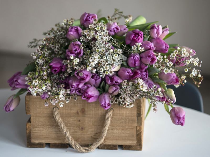 Lilla-tulipaner-og-voxblomster.jpg