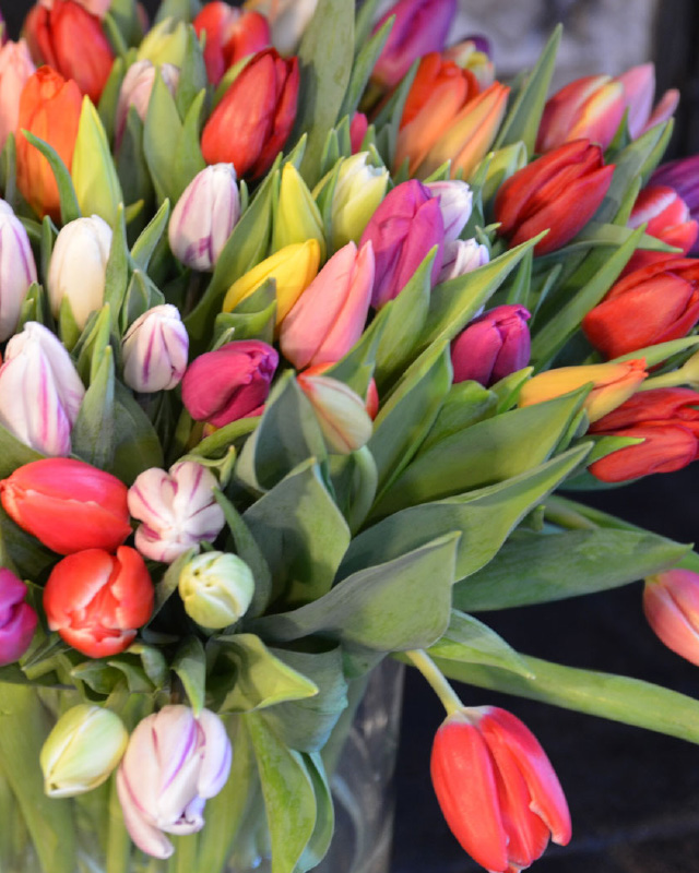 Tulipanbuketter.jpg