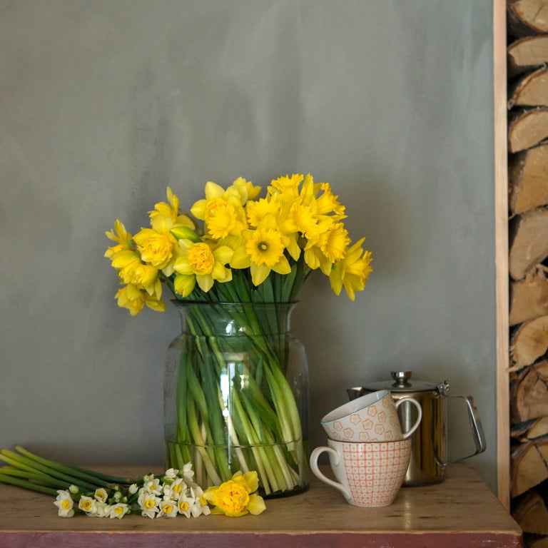 floriss-paaske-blomster-paaskeliljer-narciss.jpg