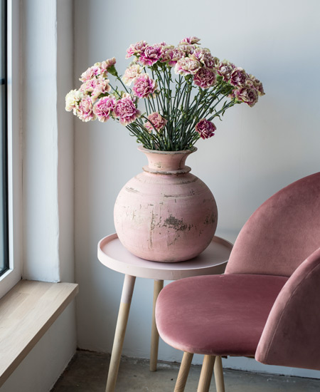 floriss-nellik-store-blomsterhoder.jpg