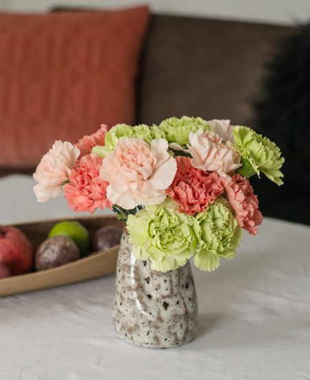 floriss-nellik-trendy-snittblomster.jpg