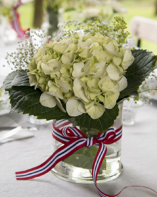 Vakker-hvit-hortensia.jpg
