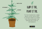 floriss-kjop-et-tre-plant-et-tre-araukaria-i-potte