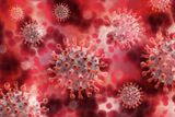 Bildet viser en illustrasjon av et corona-virus