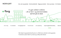 De organisasjonene som lykkes med IT, er de som tar eierskap til produktene sine og har stabile team som jobber med dem over tid. Hvis de ikke har nok ansatte til å løse problemene, må anbudsprosessene fokusere på kunnskap, forståelse og leveringsevne heller enn tid og penger. Illustrasjonsbilde: e-torg fra Norkart.