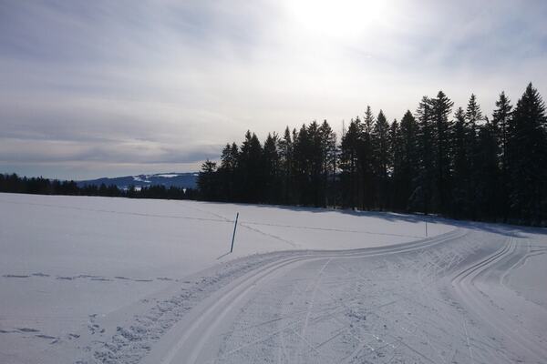 Photo : Centre nordique Pouillerel