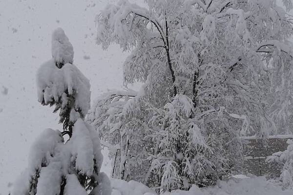 Photo : Lech da Sompuntt