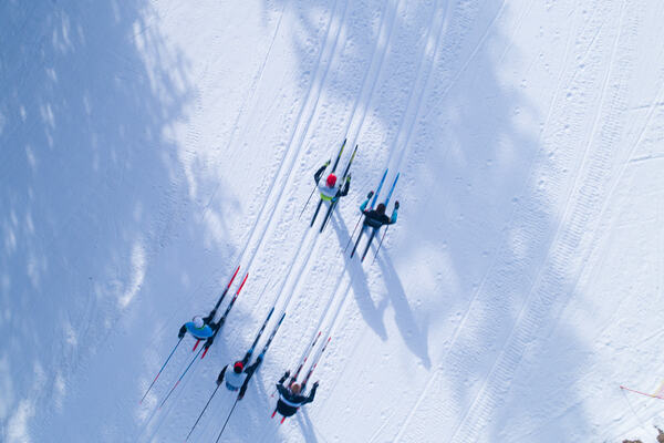 Photo : Organisation