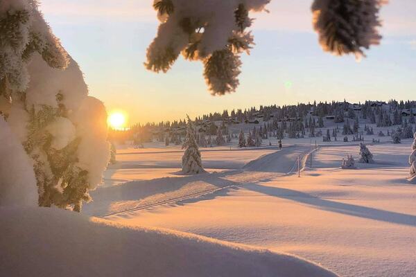 Photo : Sjusjoen
