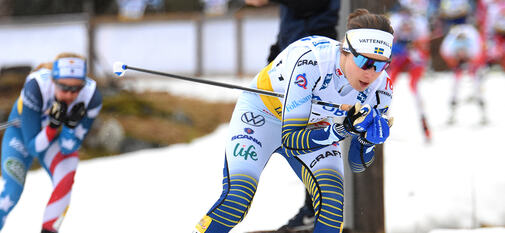 20210106, ANDERSSON Ebba (kopia)