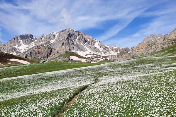Photo : Grand Trail des Ecrins