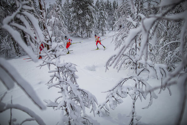 Photo : Nordic Focus