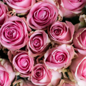 wham-favorittroser-floriss.jpg