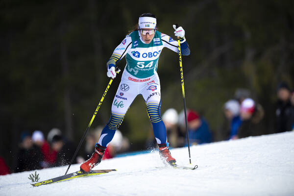 Photo : Nordic Focus