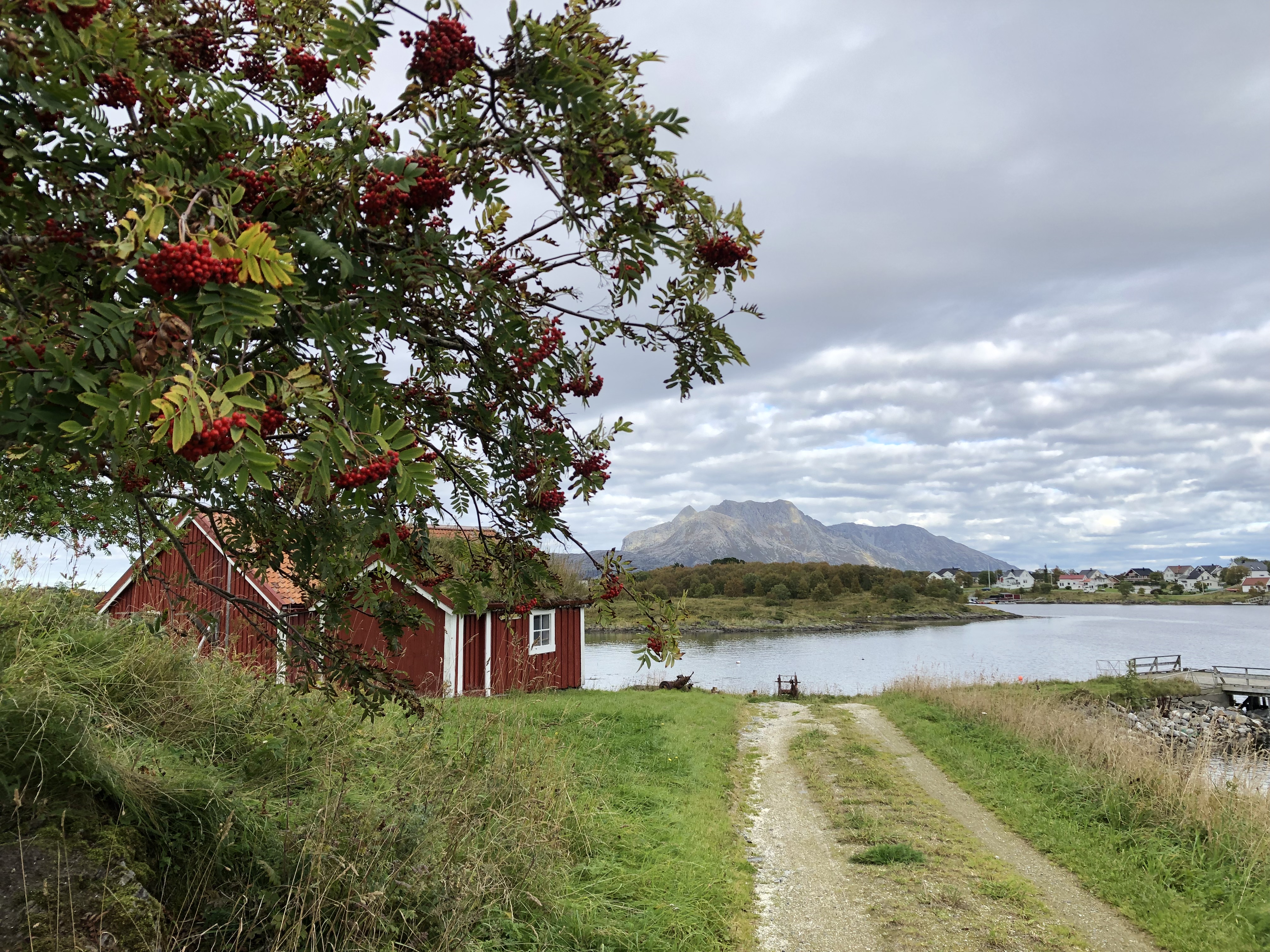 Foto: Vigdis Jensen Høst på Herøy bygdesamling