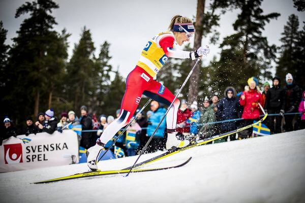 Photo : Nordic Focus